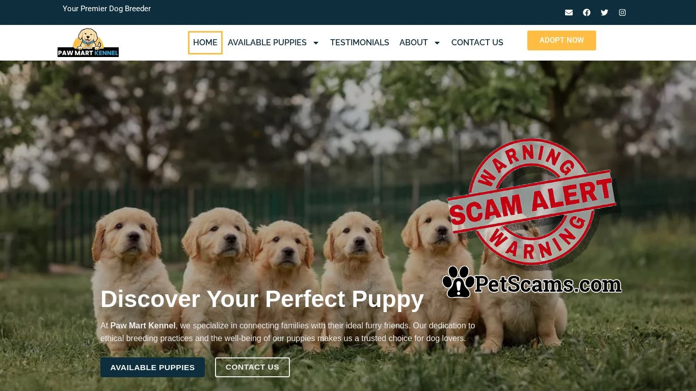 is Paw Mart Kennel – Puppies for sale online legit? screenshot