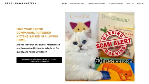 Scam Website: HOME