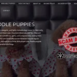 pegram poodle companions com