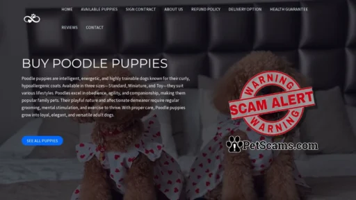 Scam Website: Pegram Poodle Companions – Buy pups online