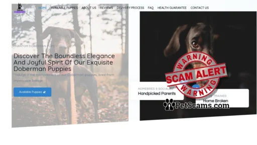 Scam Website: Phantom Doberman Pups – Phantom Doberman Pups