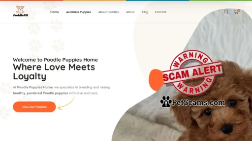 Scam Website: Poodle Puppies Home