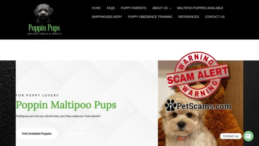 Scam Website: Poppin Maltipoo Pups – Maltipoo Puppies For Sale