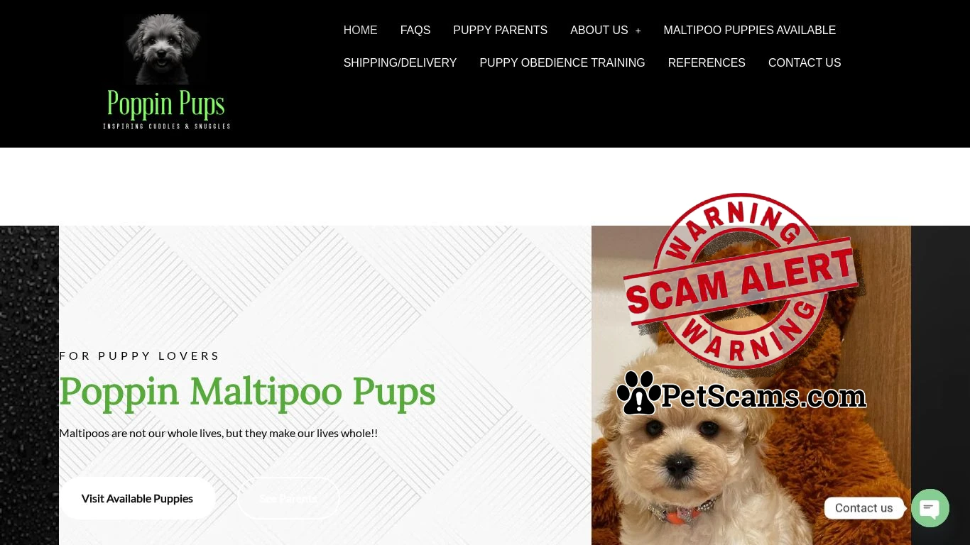 is Poppin Maltipoo Pups – Maltipoo Puppies For Sale legit? screenshot