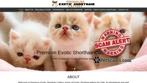 Scam Website: Premium Exotic Shorthair Cattery – Exotic Shorthair Kittens For Sale