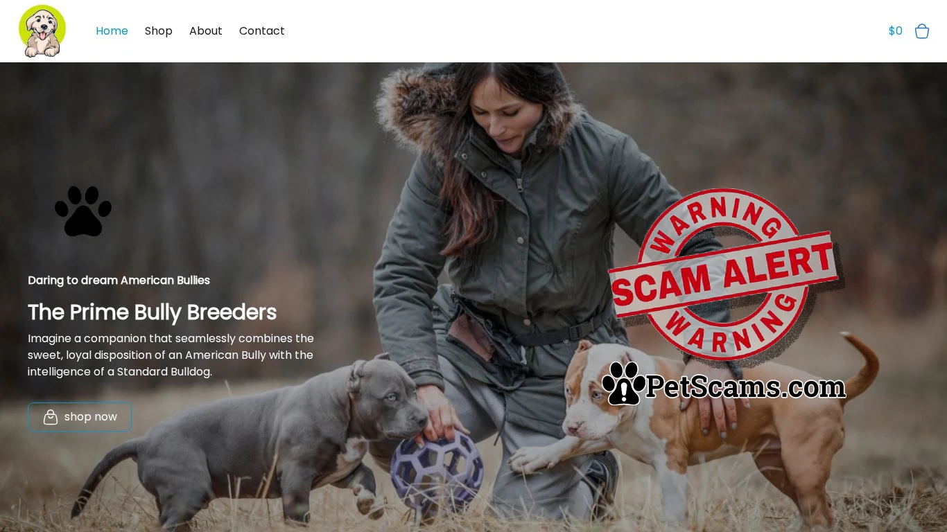 is Prime American Bullies - Home legit? screenshot