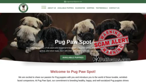 Scam Website: Pug Paw Spot – Pug puppies for sale