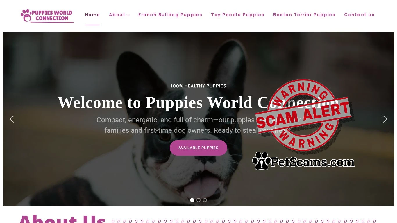 is puppiesworldconnection.com – puppiesworldconnection.com legit? screenshot