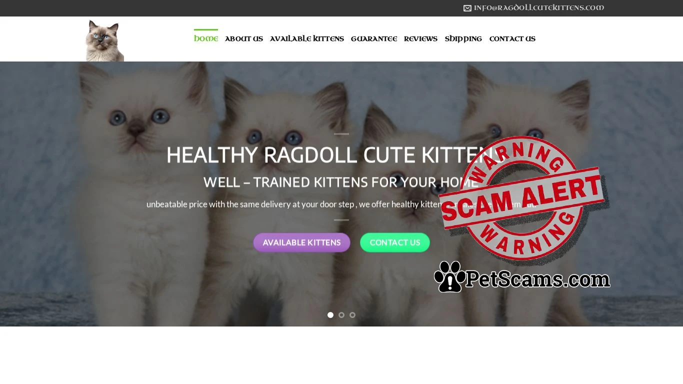 is pet service – ljmainecooncattery legit? screenshot