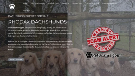 Scam Website: Rhodax Dachshund – Buy pups online