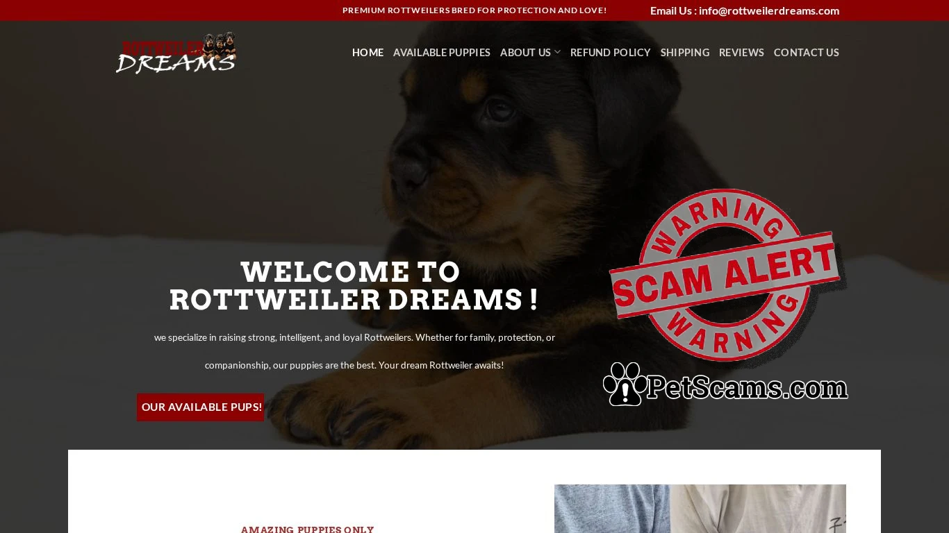 is Rottweiler Dreams – Rottweiler Puppies Home legit? screenshot