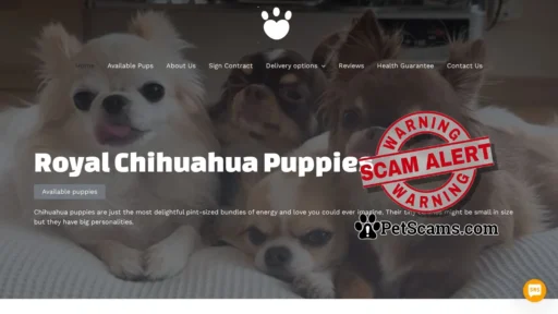 Scam Website: Royal Chihuahua Puppies – Puppies for sale