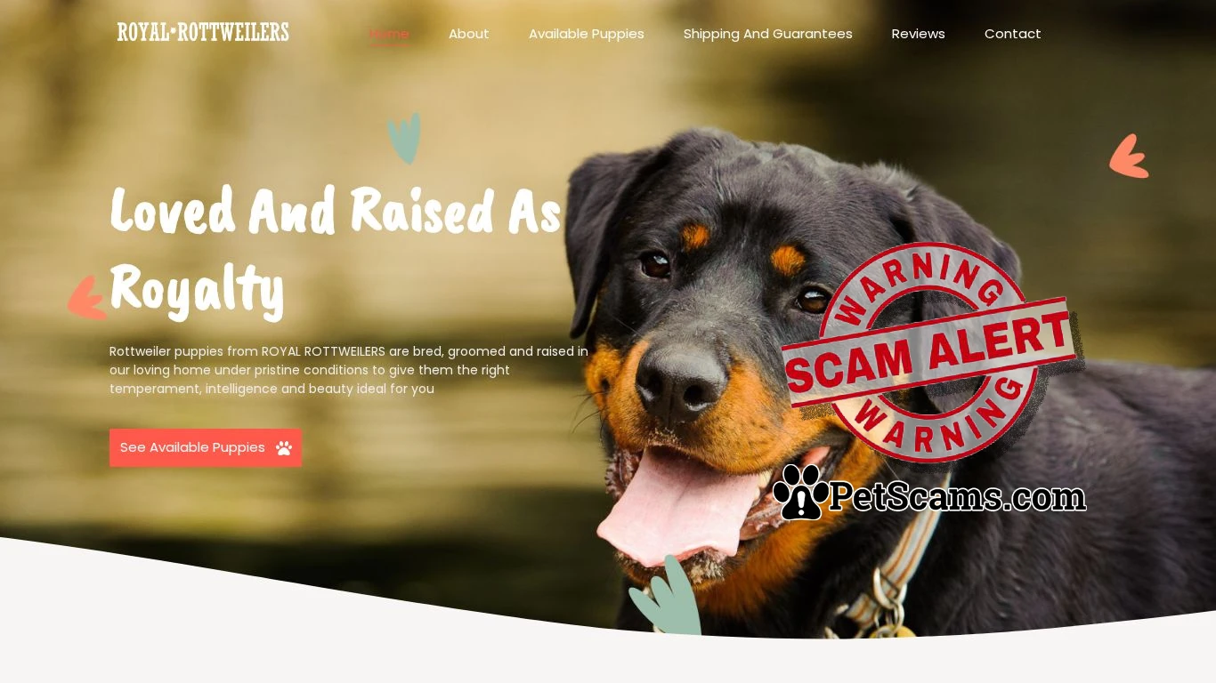is Royal Rottweilers – Gorgeous Rottweiler Puppies For Sale legit? screenshot