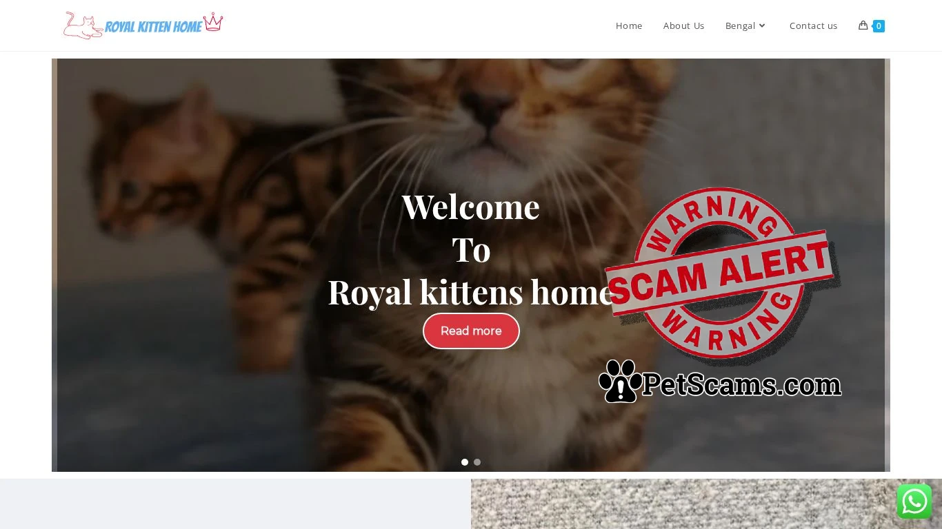 is Home - My kittens Available legit? screenshot