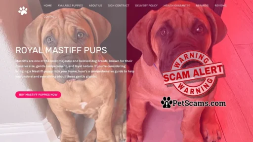 Scam Website: Royal Mastiff Pups – Buy pups online