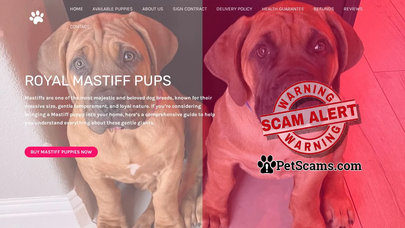is Royal Mastiff Pups – Buy pups online legit? screenshot