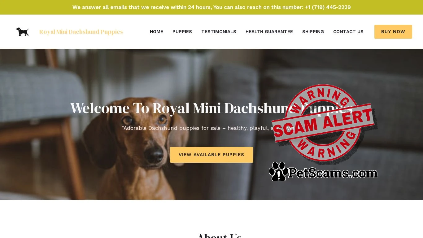 is Royal Mini Dachshund Puppies – Pure breed puppies legit? screenshot