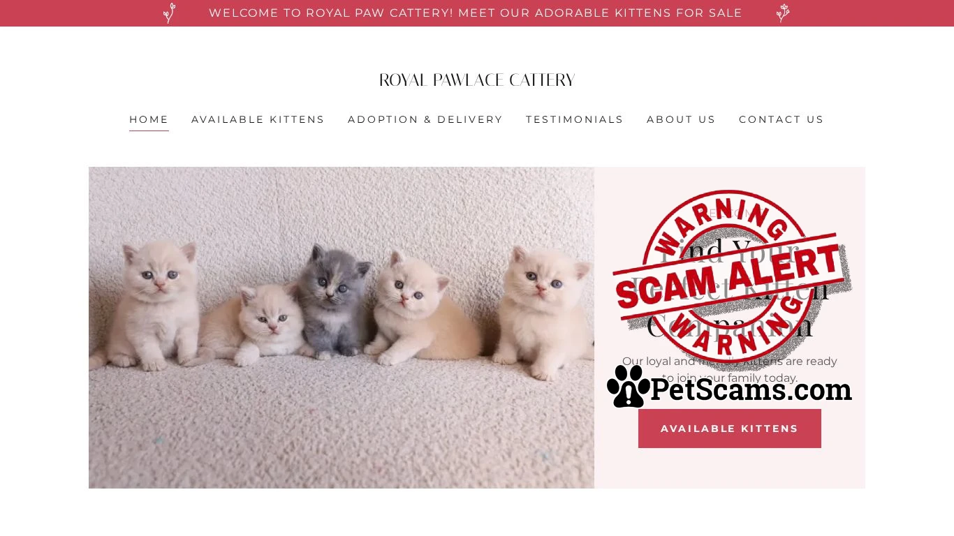 is Royal Pawlace Cattery legit? screenshot