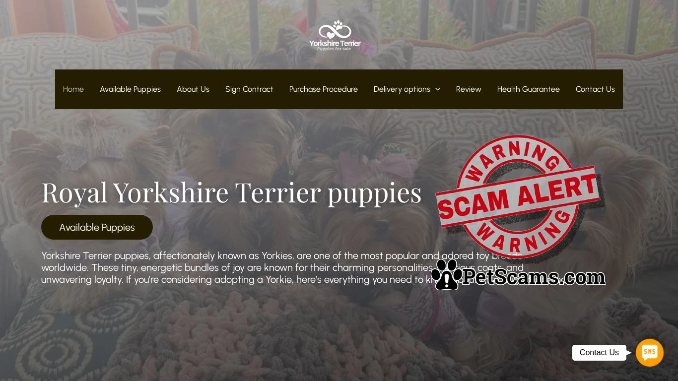 is Royal Yorkshire Terriers – Pups for sale legit? screenshot
