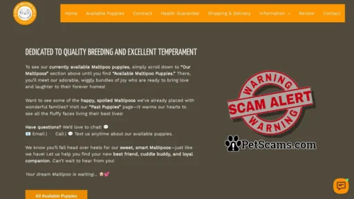 Scam Website: Shawn Maltipoo Puppies – Buy Maltipoo Pups online