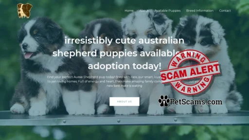 Scam Website: Shepherd Stars
