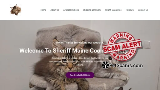 Scam Website: No Title Found