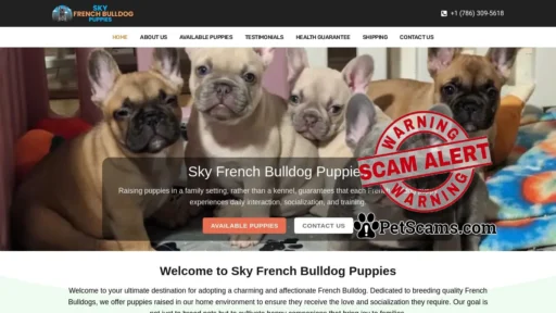 Scam Website: Sky French Bulldog Puppies – Teacup French Bulldog Puppies for sale online