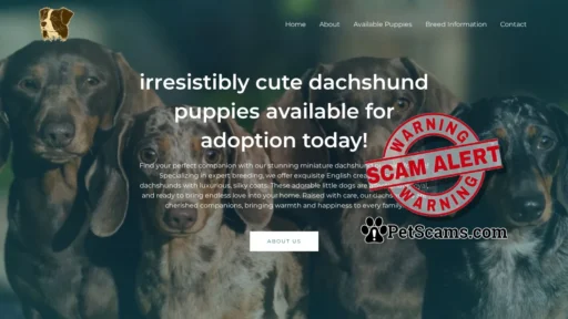 Scam Website: Snug Shund