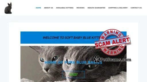 Scam Website: Soft Baby Blue Kittens