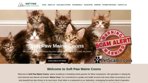 Scam Website: Maine Coon kittens for sale, Mianecoon For Sale, Buy Maine coon