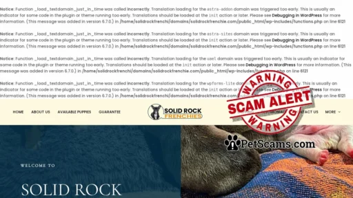 Scam Website: Solid Rock Frenchies – French Bulldog puppies for sale
