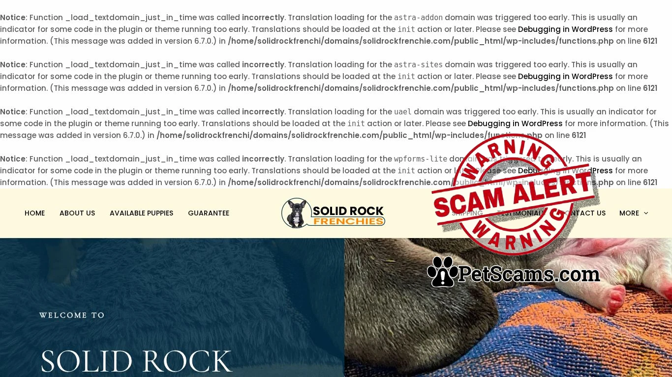 is Solid Rock Frenchies – French Bulldog puppies for sale legit? screenshot