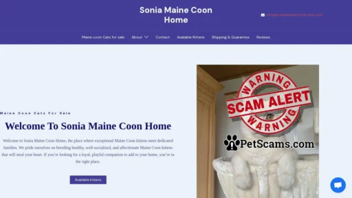 Scam Website: Adorable Maine Coon Cats For Sale At Sonia Maine Coon Home