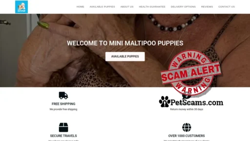 Scam Website: SUPER MALTIPOO PUPS FOR ADOPTION – BEST BREEDER