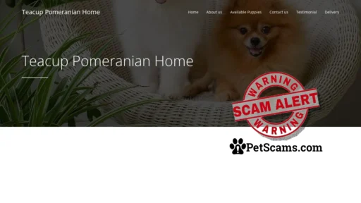 Scam Website: Teacup Pomeranian Home -