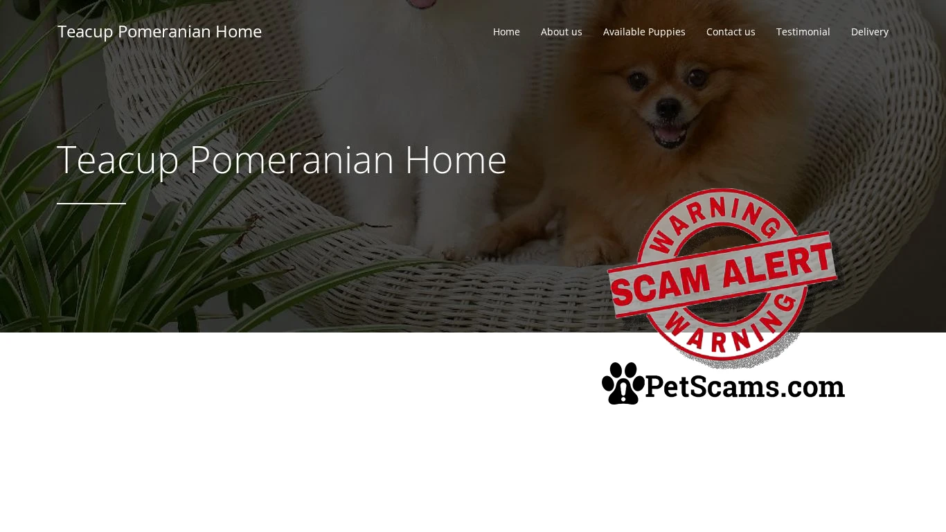 is Teacup Pomeranian Home - legit? screenshot