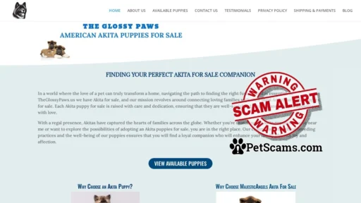 Scam Website: Akita For Sale - Buy Your Dream Akita Puppy with a Payment Plan