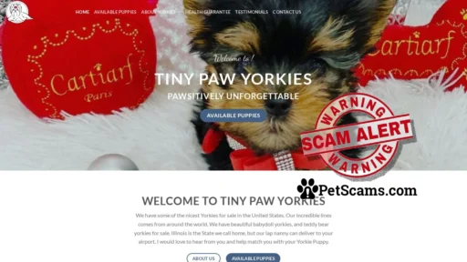Scam Website: Tiny Paw Yorkies – Where Doggy Personalities Shine Bright