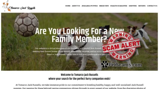 Scam Website: Tomarco Jack Russells