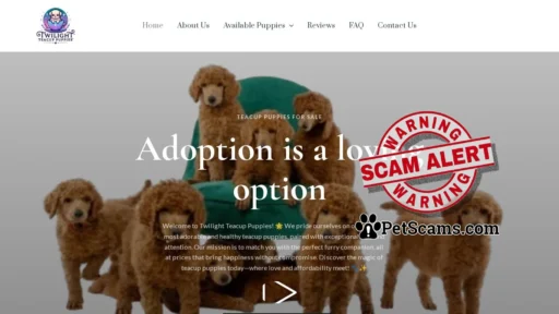 Scam Website: No Title Found