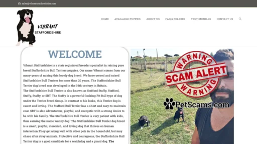 Scam Website: Vibrant Staffordshire Bull – Licensed Staffordshire Bull Terriers Breeders