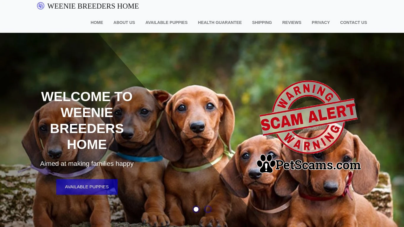 is Welcome To Weenie Breeders Home Puppy Website - Aimed at making families happy. legit? screenshot