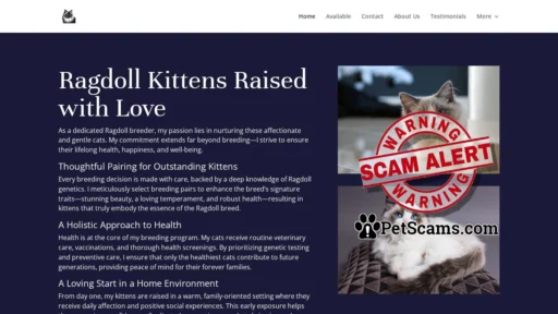 Scam Website: Ragdoll Kittens |