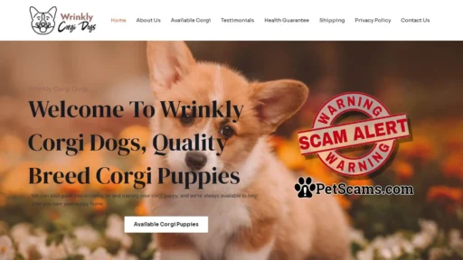 Scam Website: Wrinkly Corgi Dogs