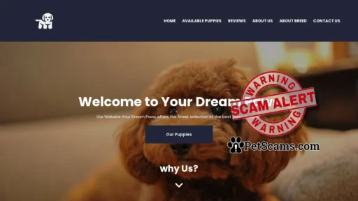Scam Website: Your Dream Paws – Your Dream Paws