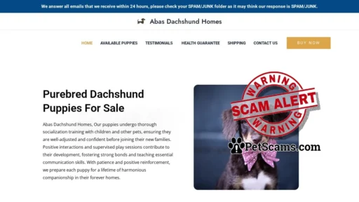 Scam Website: Abas Dachshund Homes – Purebred Dachshund Puppies For Sale