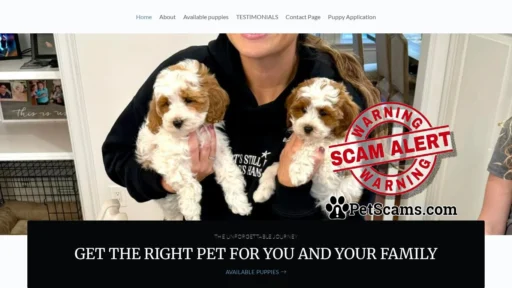 Scam Website: addorablecavapoopups.com