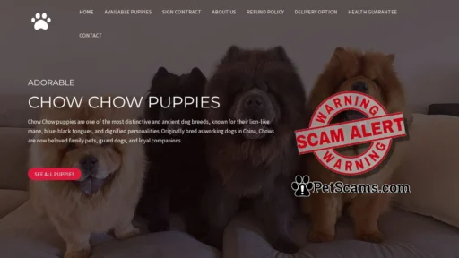 Scam Website: Adorable Chow Chow Puppies – Buy pups online