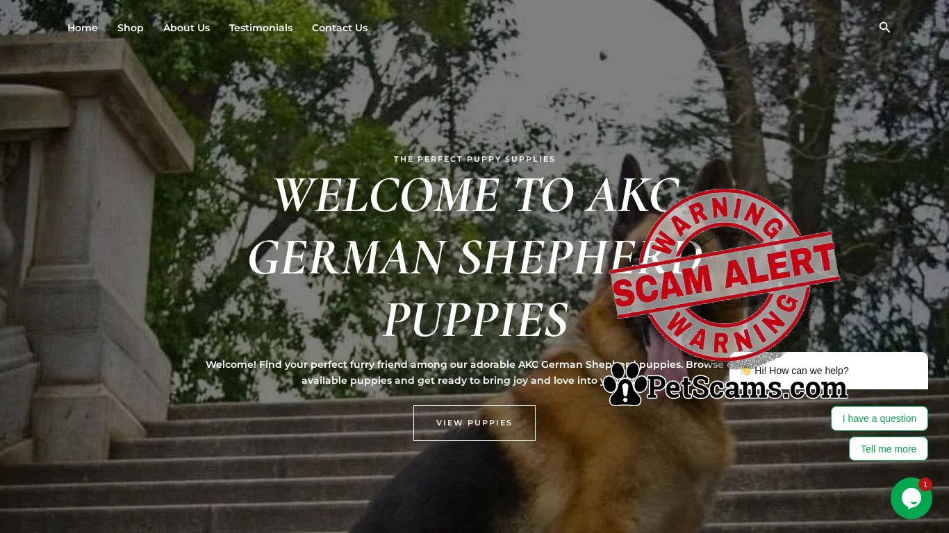 is akcgermanshepherdpuppies – akcgermanshepherdpuppies legit? screenshot