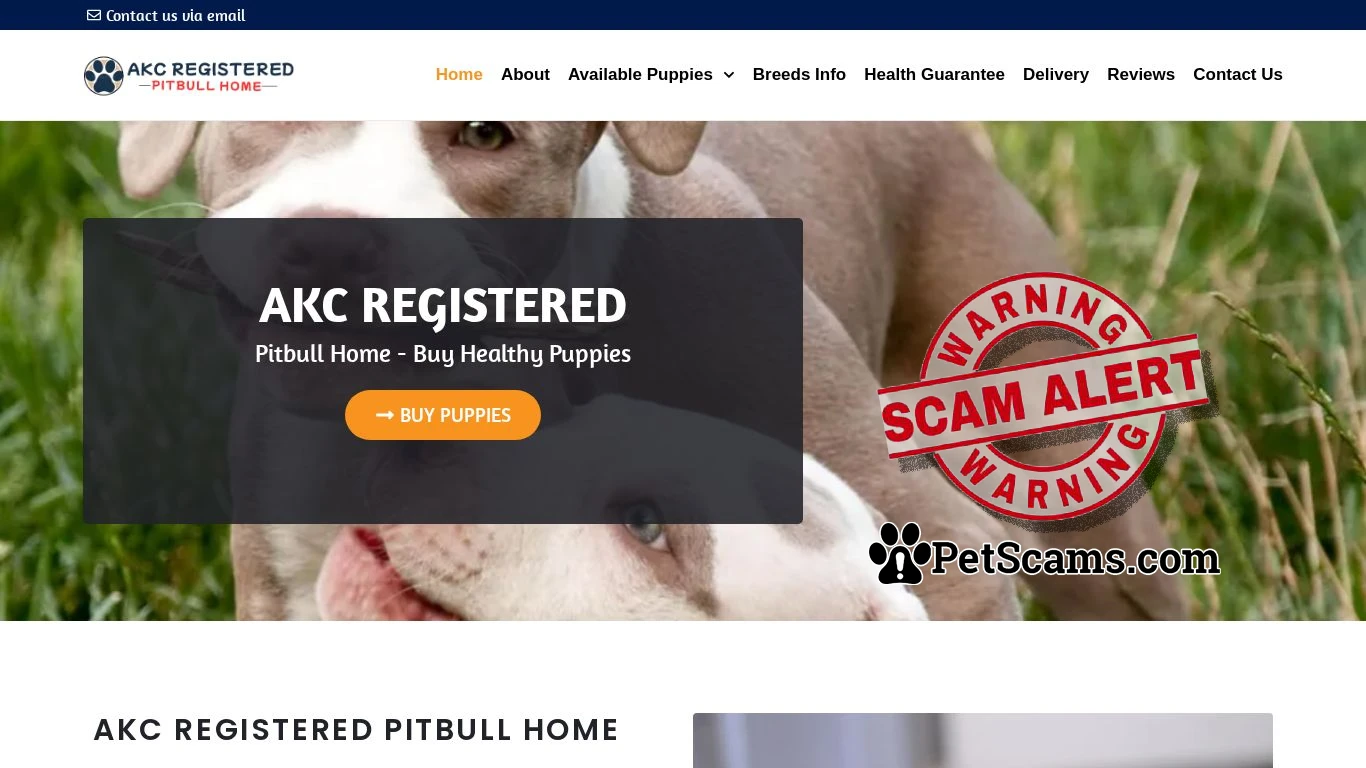 is AKC REGISTERED PITBULL HOME – Home Of Healthy Puppies legit? screenshot